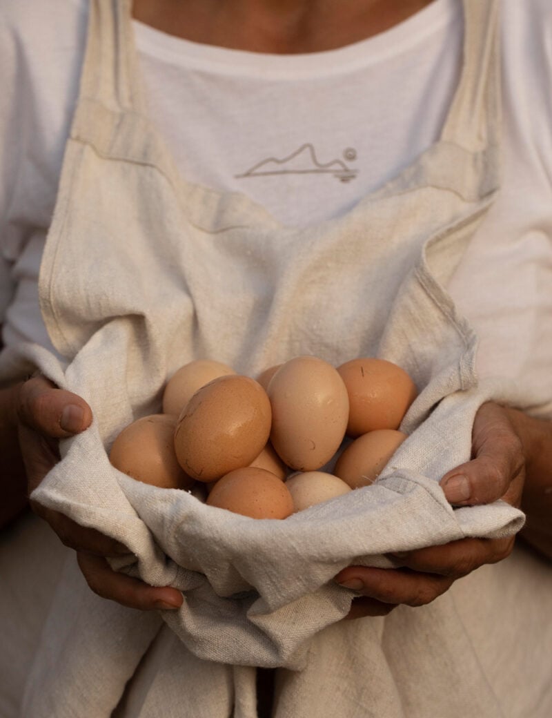 Dimora Cala Del Pozzo