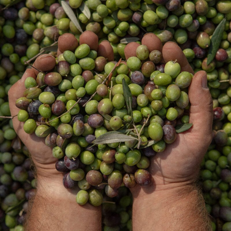 Dimora Cala Del Pozzo