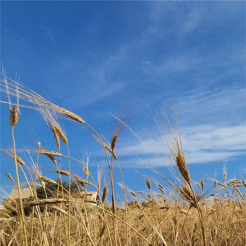 Dimora Cala Del Pozzo