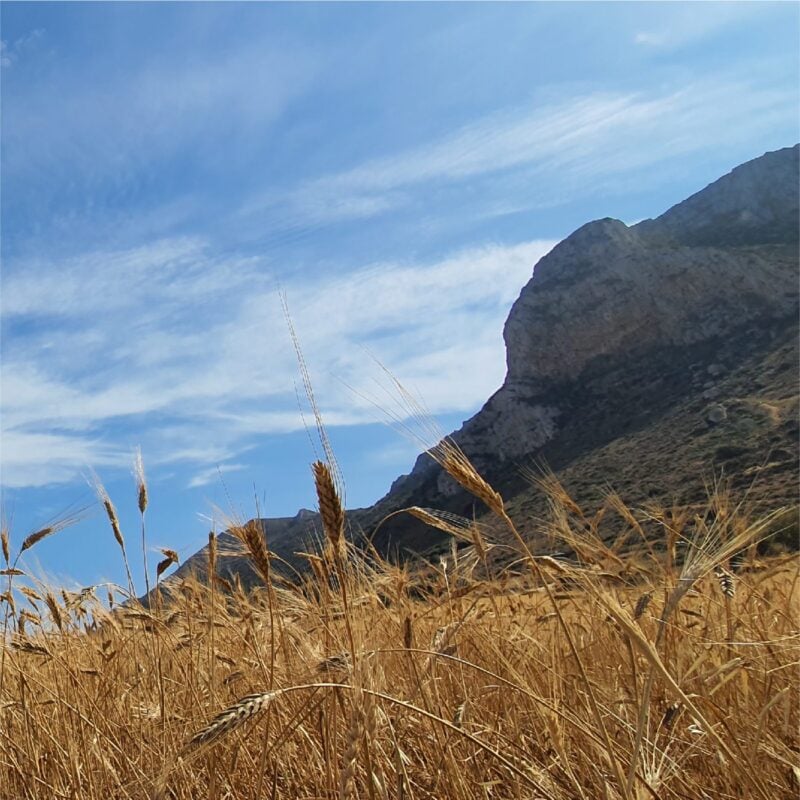 Dimora Cala Del Pozzo