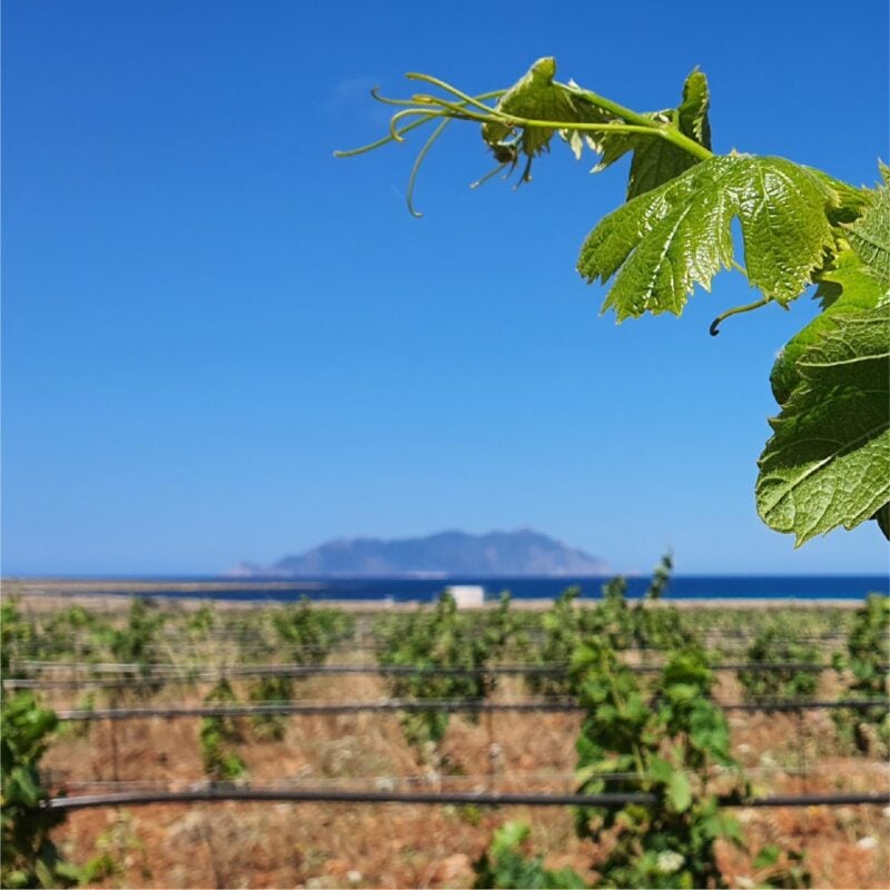 Dimora Cala Del Pozzo