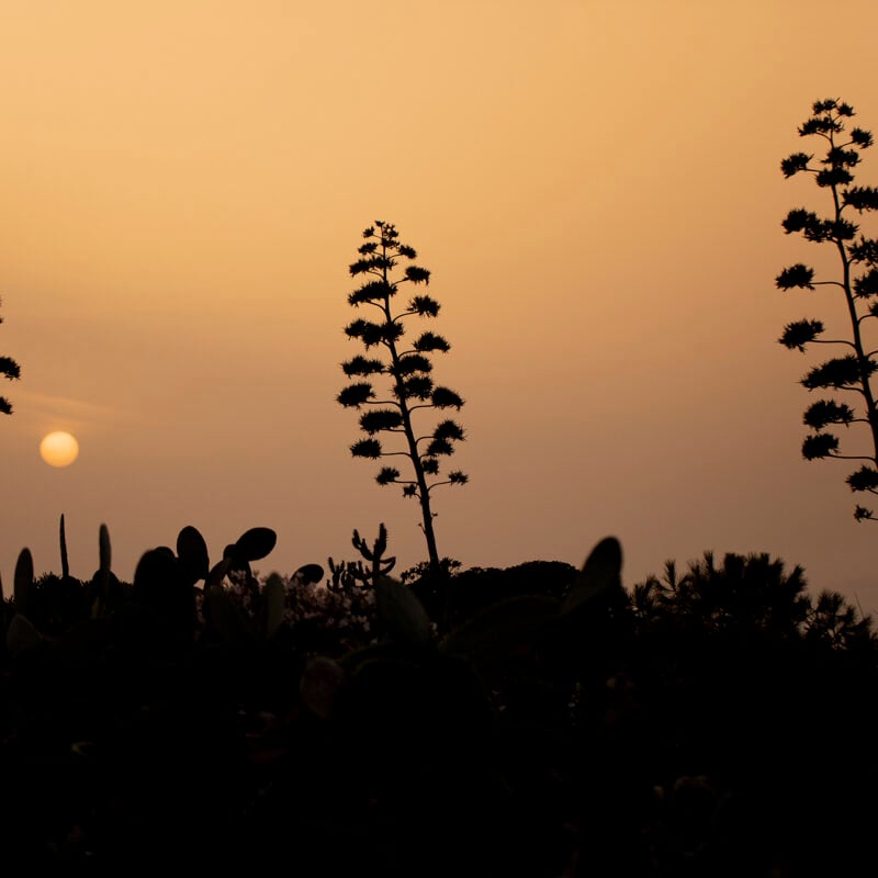 Dimora Cala Del Pozzo