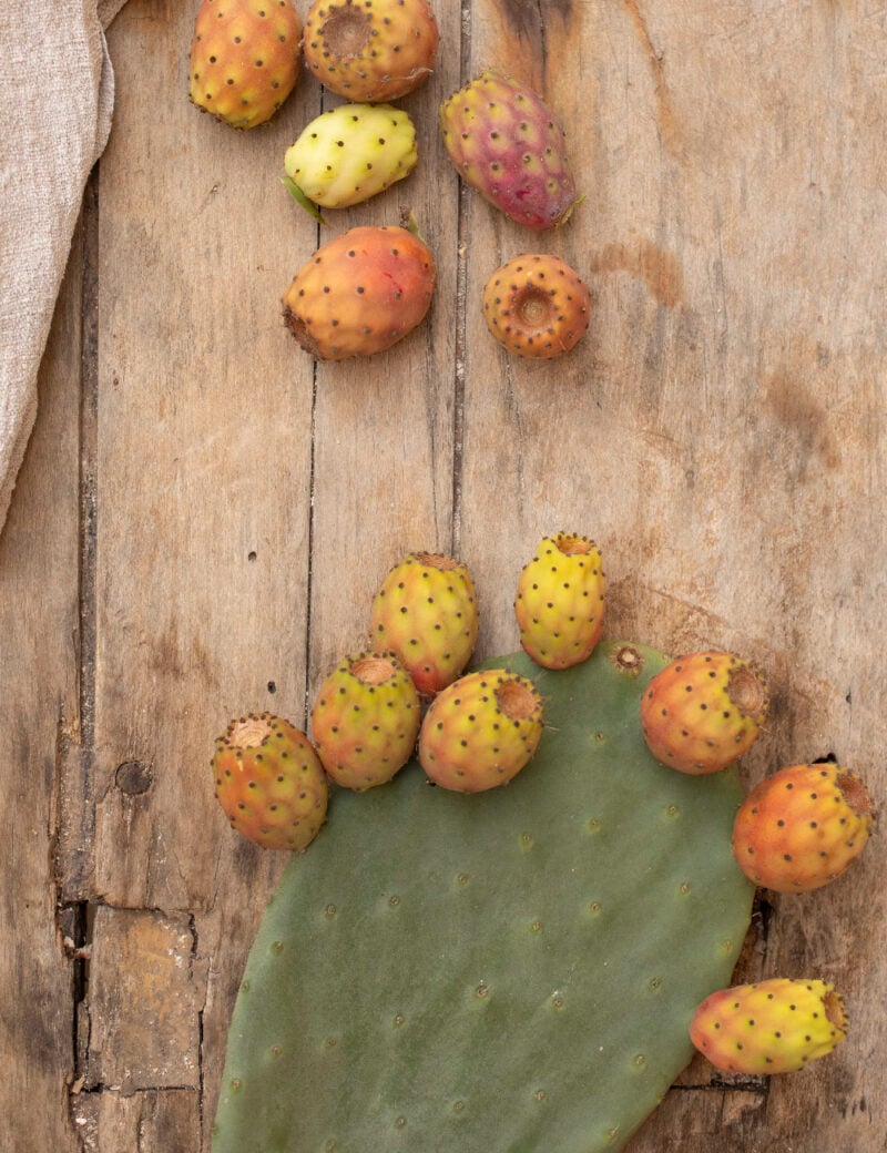 Dimora Cala Del Pozzo