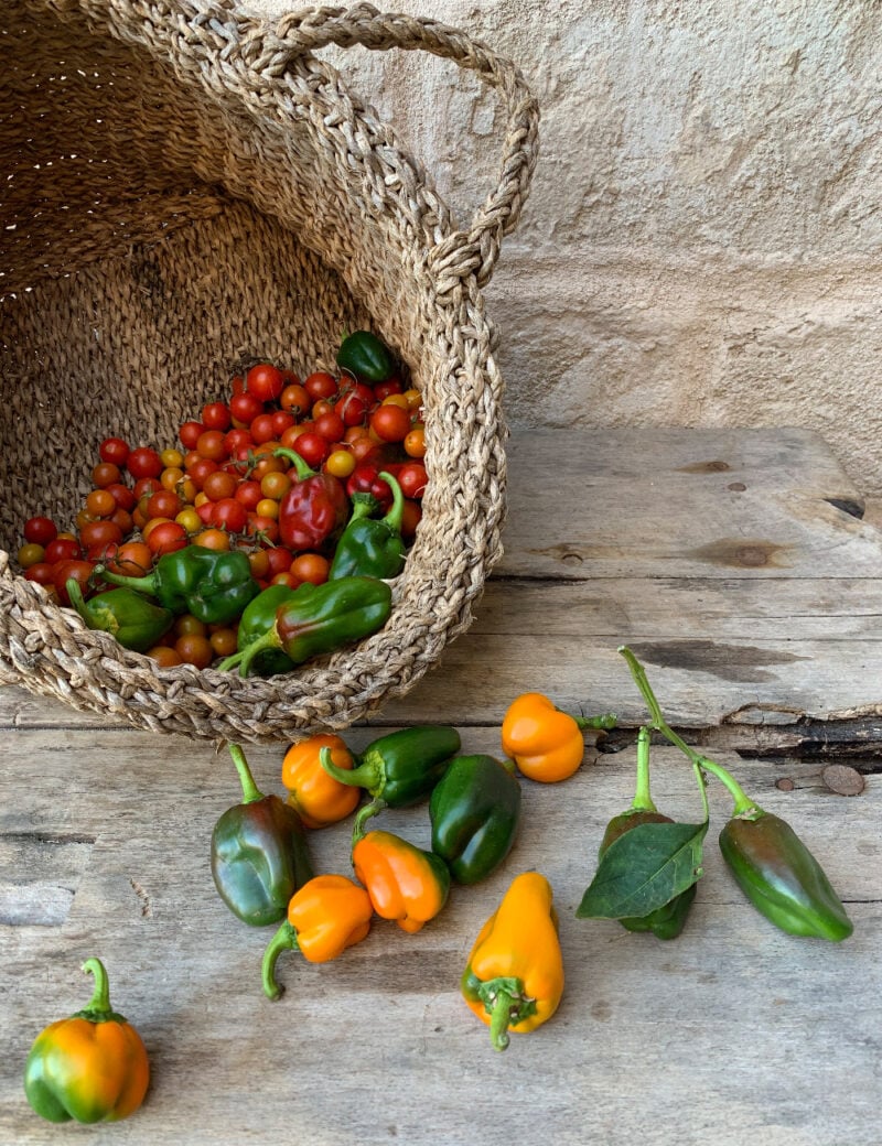 Dimora Cala Del Pozzo