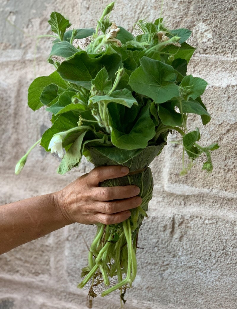 Dimora Cala Del Pozzo