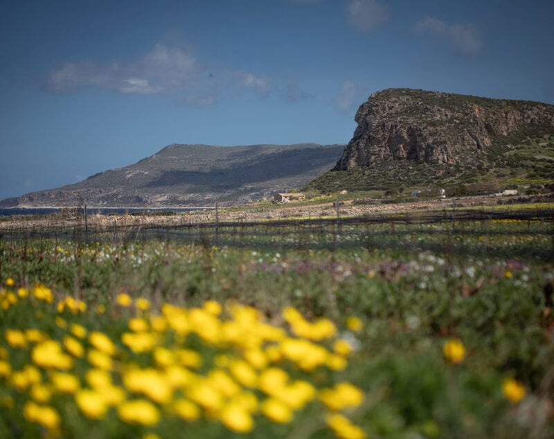 Dimora Cala Del Pozzo
