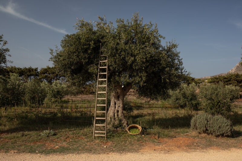 Dimora Cala Del Pozzo