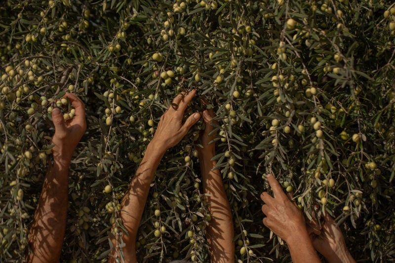 Dimora Cala Del Pozzo