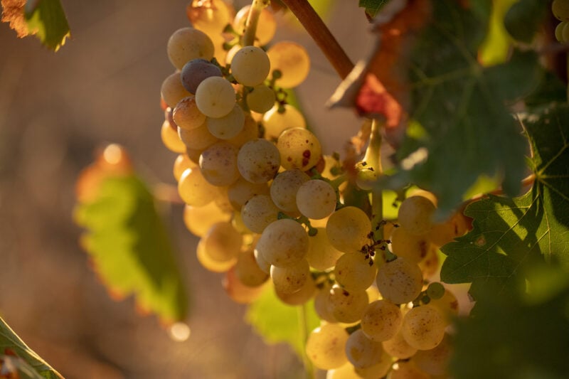 Dimora Cala Del Pozzo