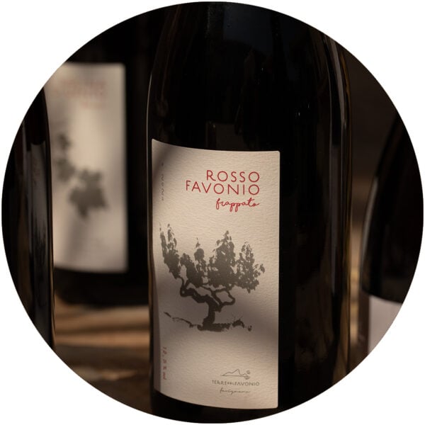 Vino Rosso Favonio 2022