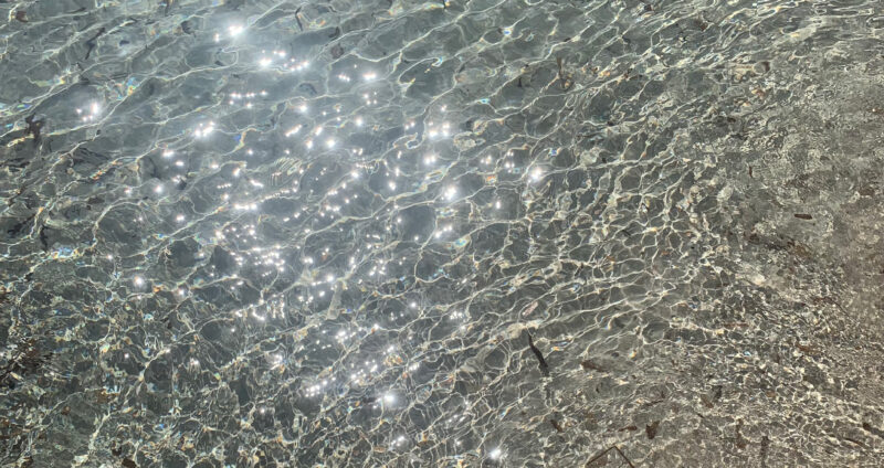 Dimora dell'Olivastro