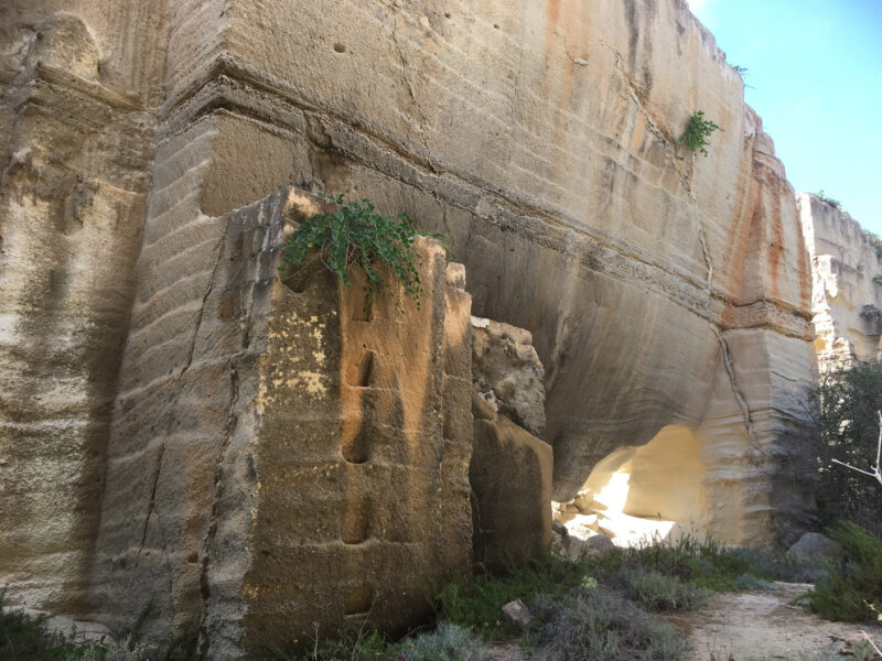 Dimora dell'Olivastro