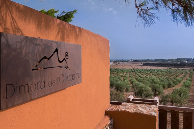 Dimora dell'Olivastro
