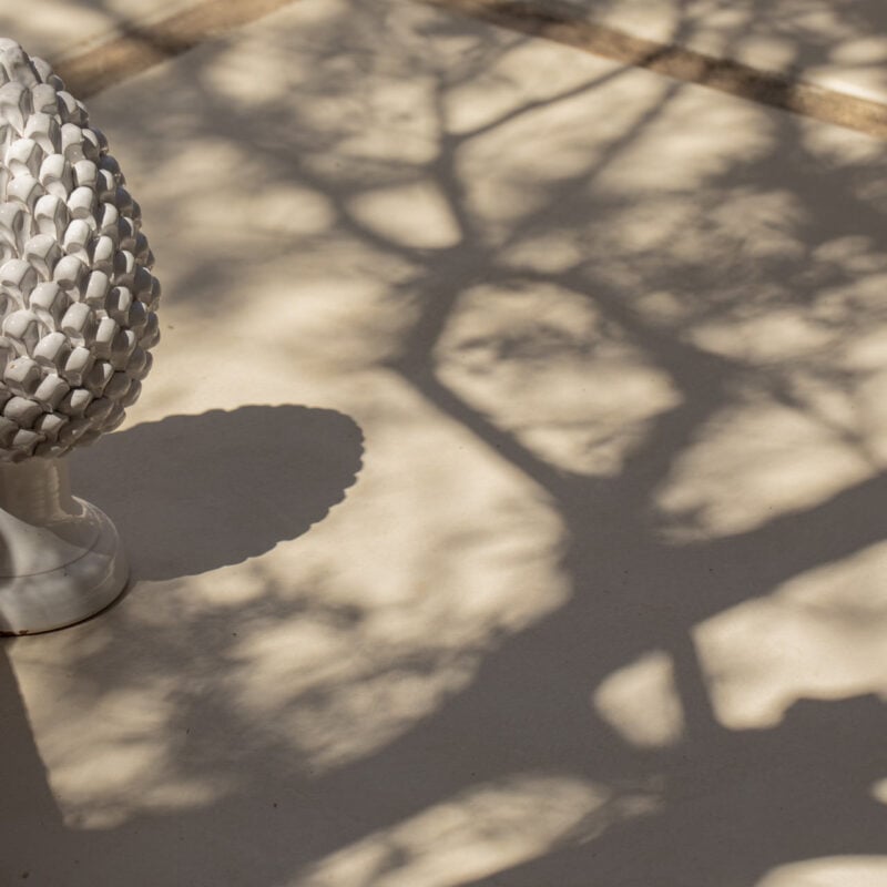 Dimora dell'Olivastro