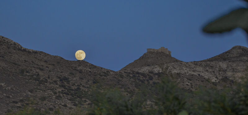 Dimora dell'Olivastro