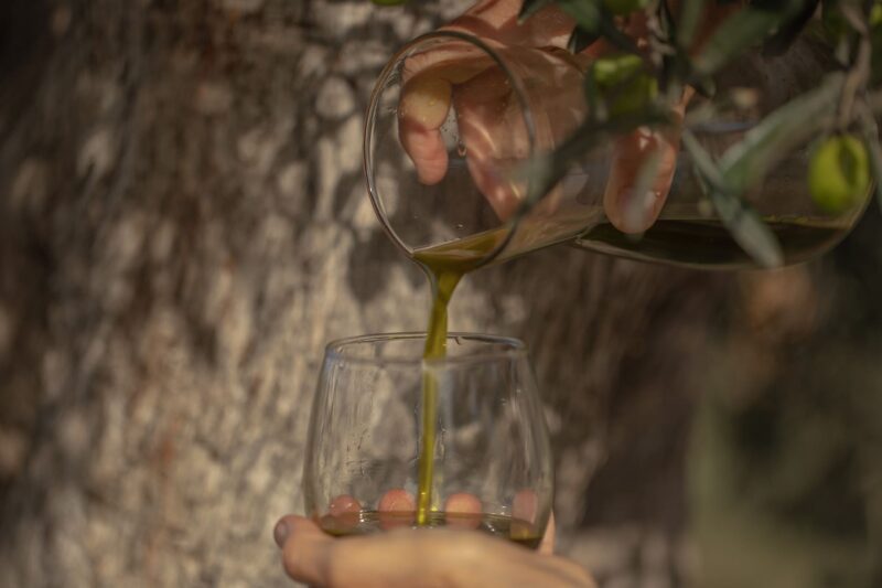 Dimora dell'Olivastro