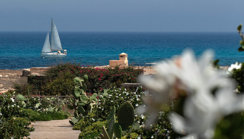 Dimora dell'Olivastro