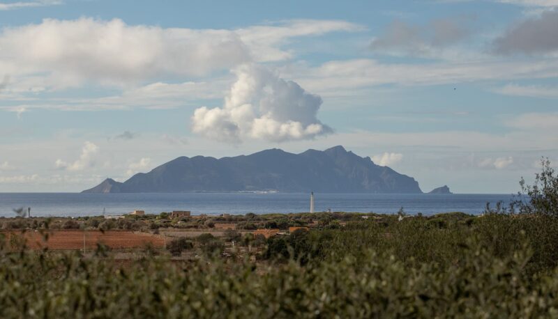 Dimora dell'Olivastro